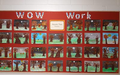 🍁Ms Moore’s 3rd Class – WOW WORK!